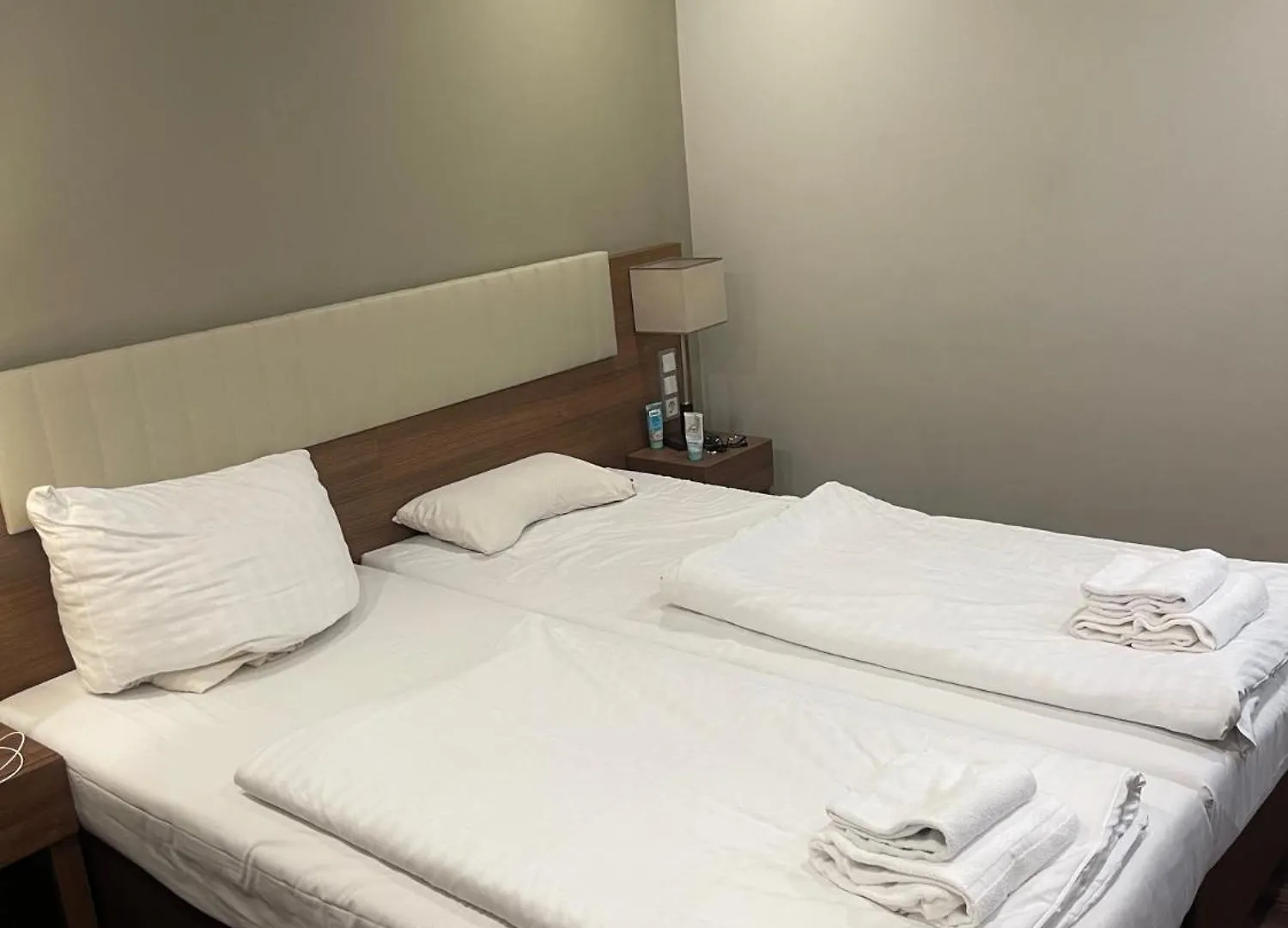Leon Hotel Und Apartments Frankfurt am Main